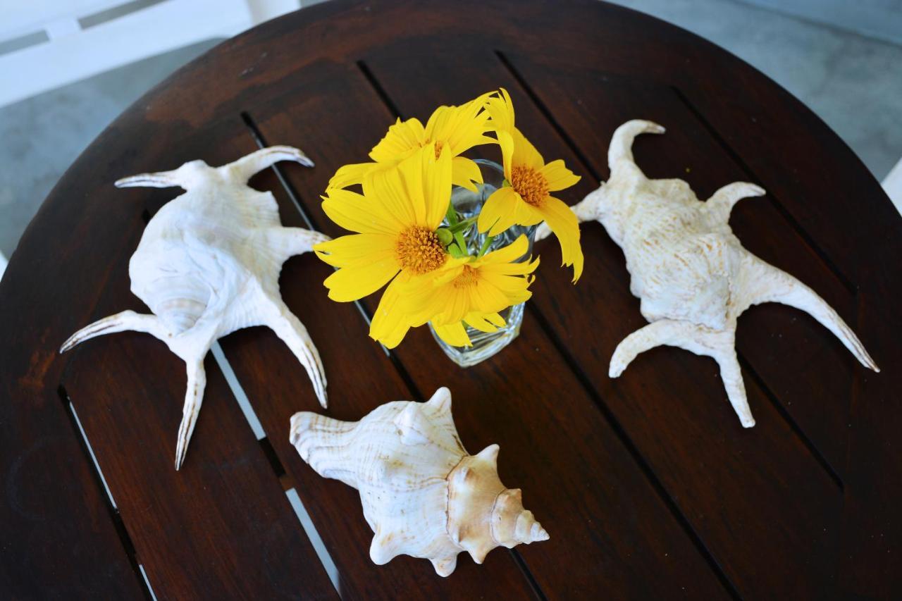 Little Sunshine Guest House & Restaurant 탕갈레 외부 사진